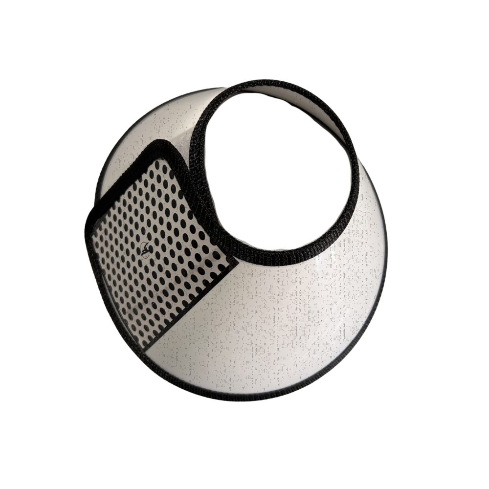 Elizabethan collar (E-Collar)