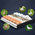 Imported 64/130/192 Eggs Incubator Fully Automatic AC/DC