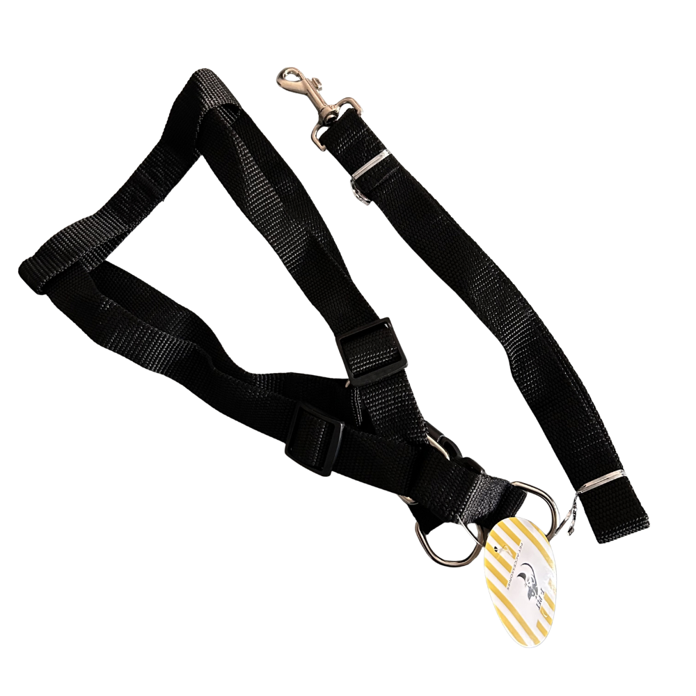 Chest Harness