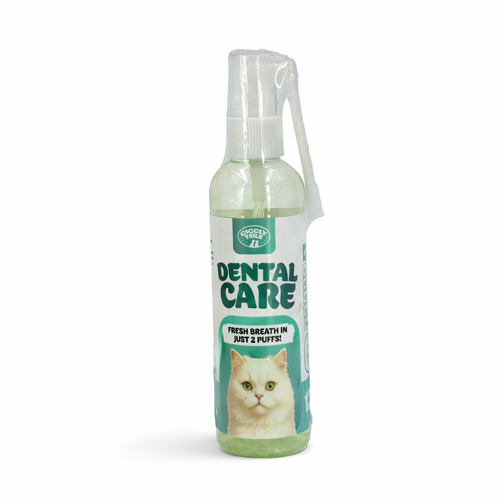 Dental Care for cats