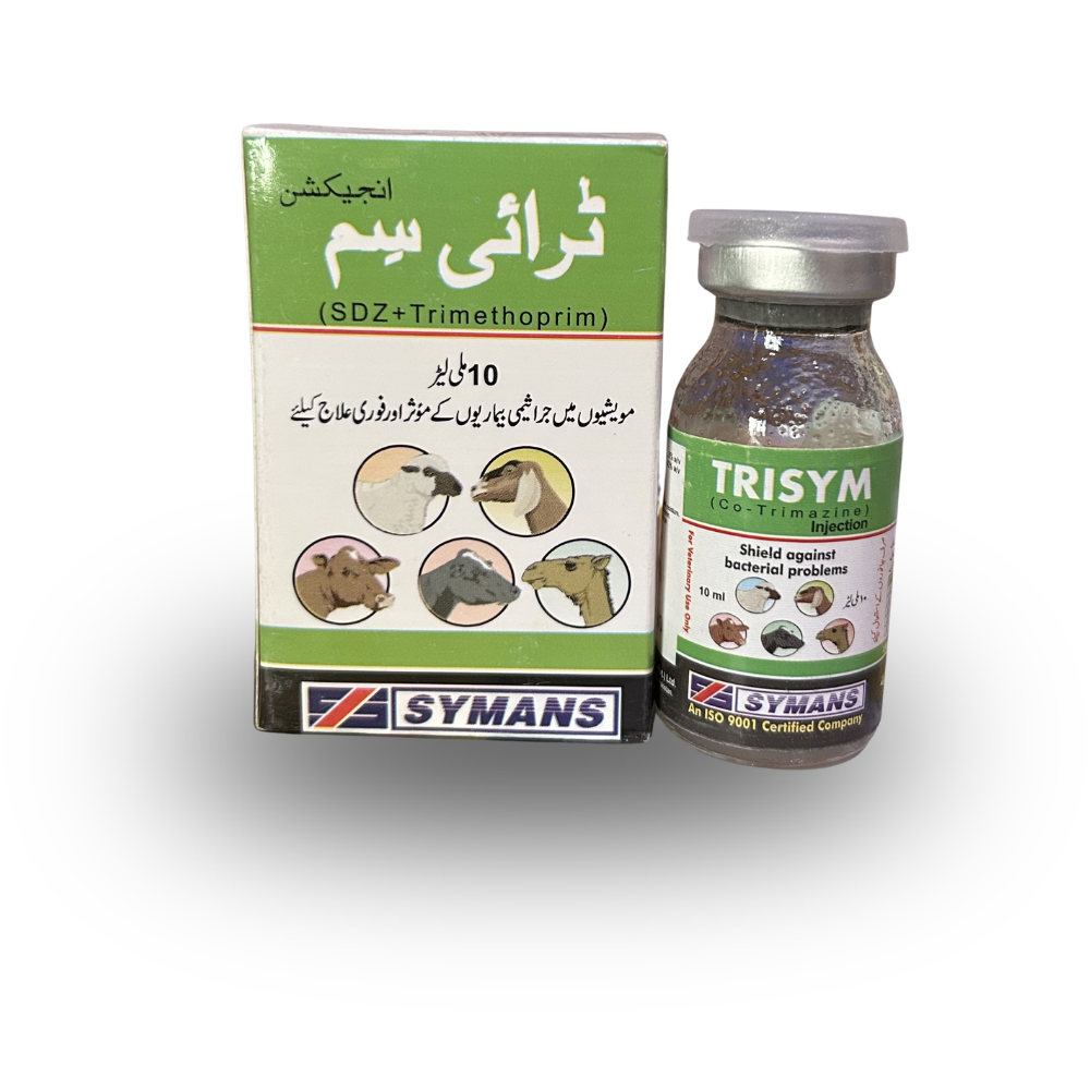 Trisym Injection (بیکٹیریل انفیکشن کے علاج کا انجیکشن)