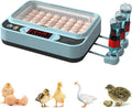 Fully Automatic Poultry Egg Incubator – 36 &amp; 64 Eggs Capacity