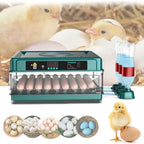 Fully Automatic Poultry Egg Incubator – 48 &amp; 70 Eggs Capacity