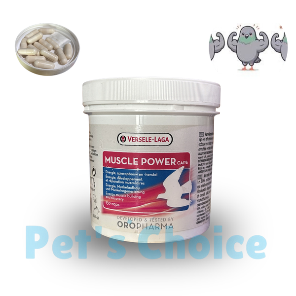 MUSCLE POWER CAPS (پٹھوں کی طاقت کے لیے)