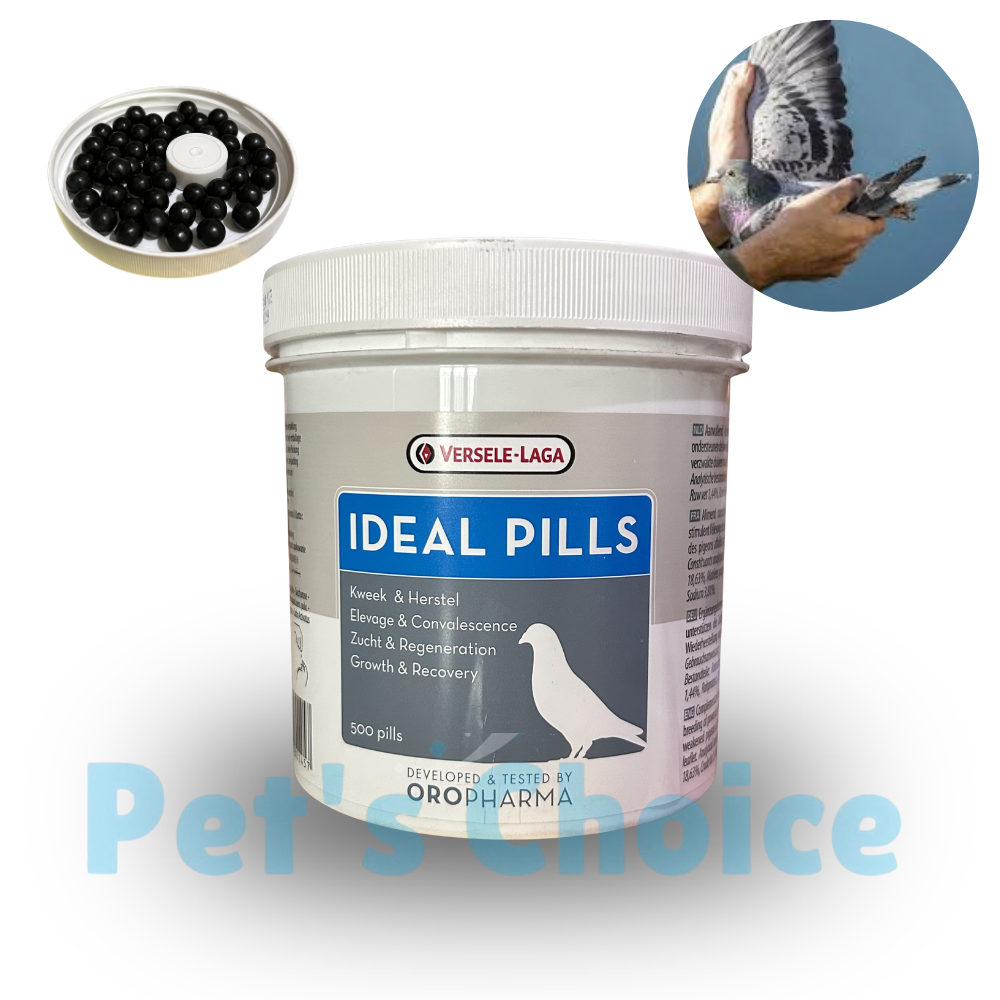 IDEAL PILLS (کبوتروں کی نشوونما کے لیے)