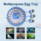 Fully Automatic 52 Poultry &amp; 252 Bird Eggs Incubator Hatcher