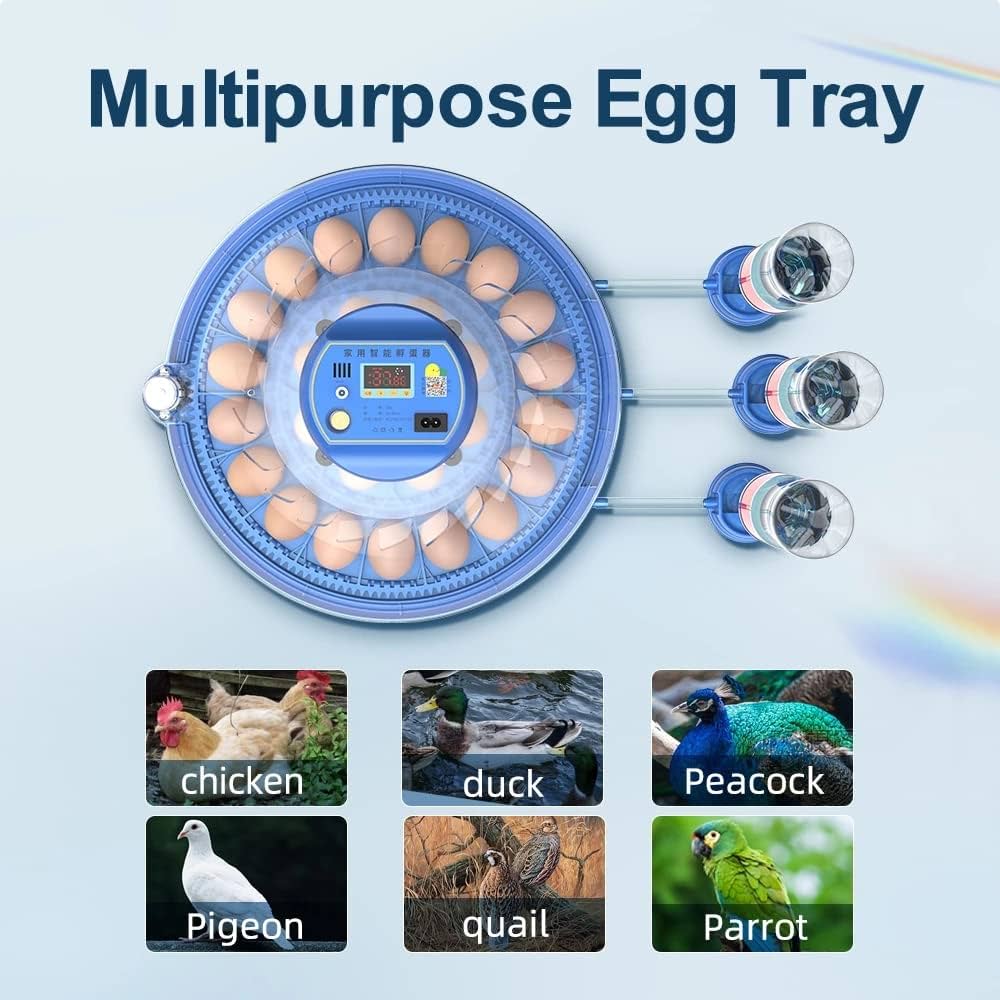 Fully Automatic 52 Poultry &amp; 252 Bird Eggs Incubator Hatcher