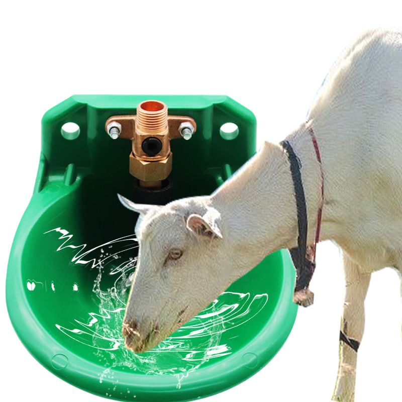 Goat Auto Drinker