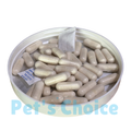 RECOVERY CAPS (کبوتروں کی ریکوری کے لیے)
