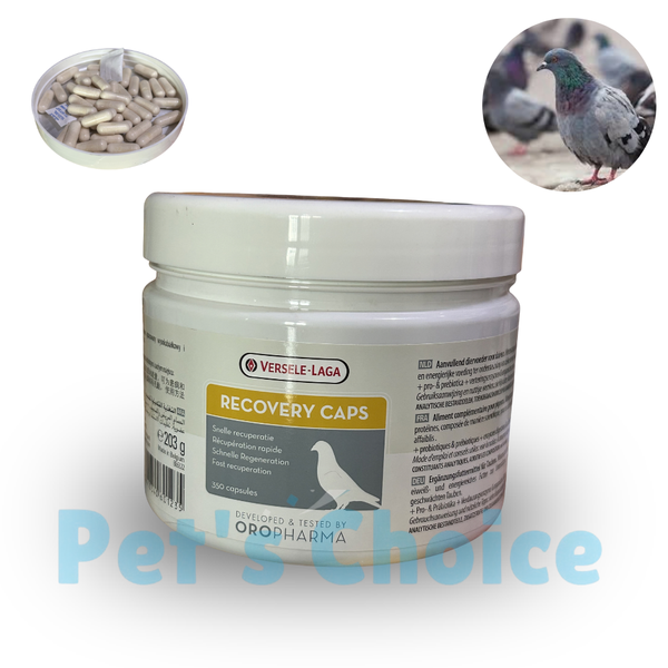 RECOVERY CAPS (کبوتروں کی ریکوری کے لیے)