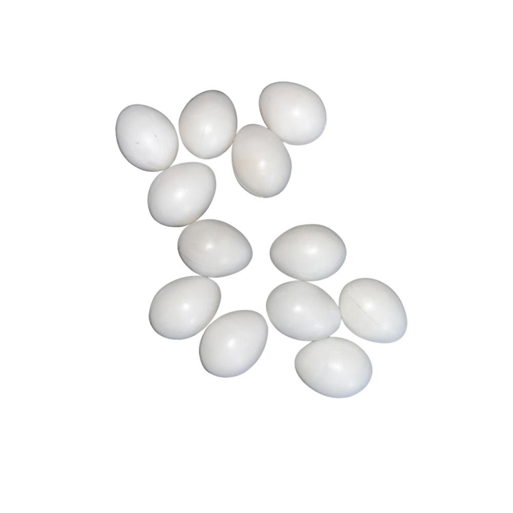 Birds Dummy Eggs