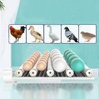 24 eggs Fully Automatic Incubator AC/DC