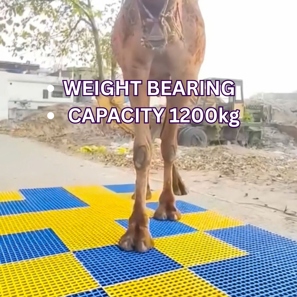 Elephant Plastic Floor Panel