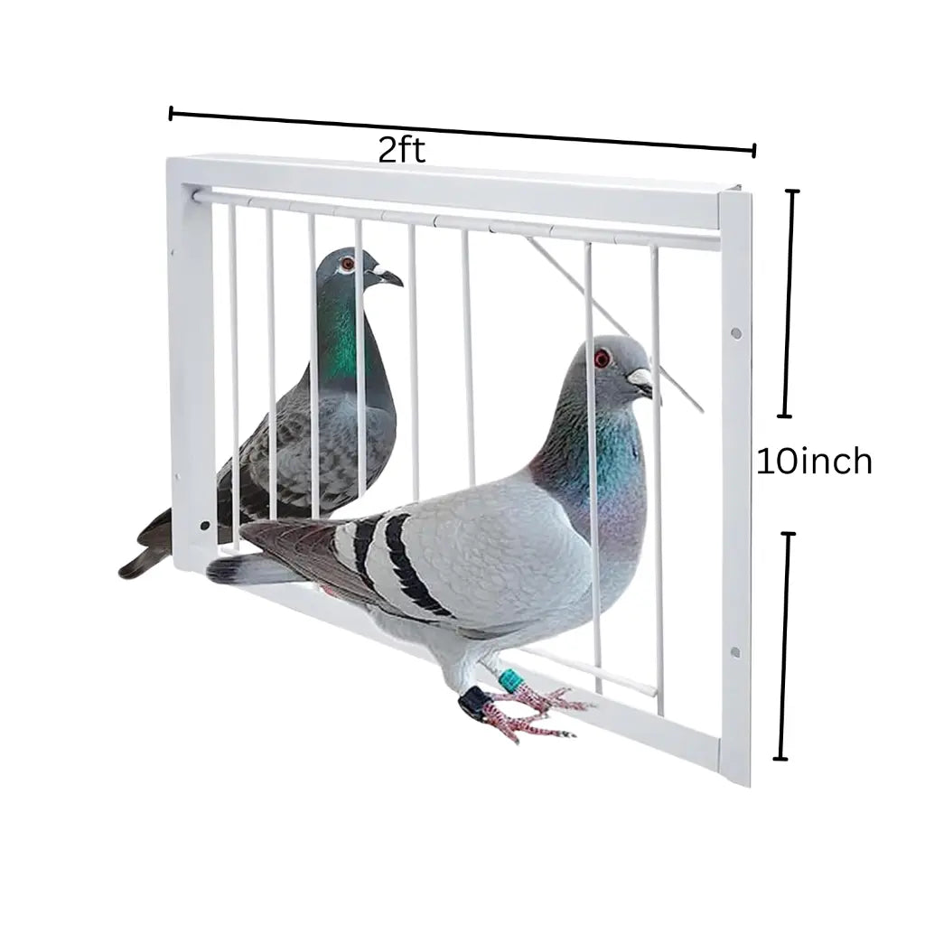 2ft Trap Door