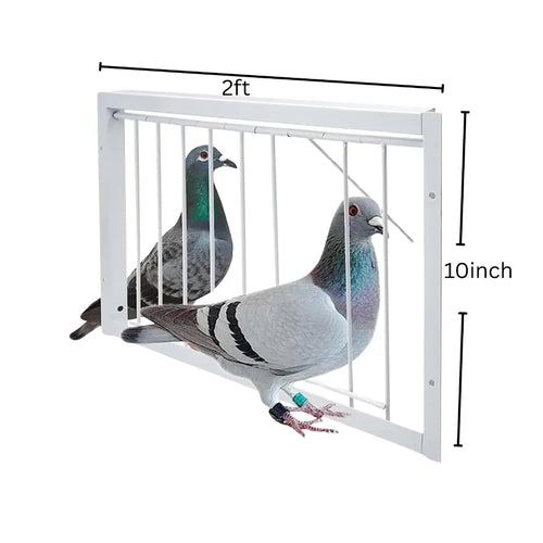 2ft Trap Door