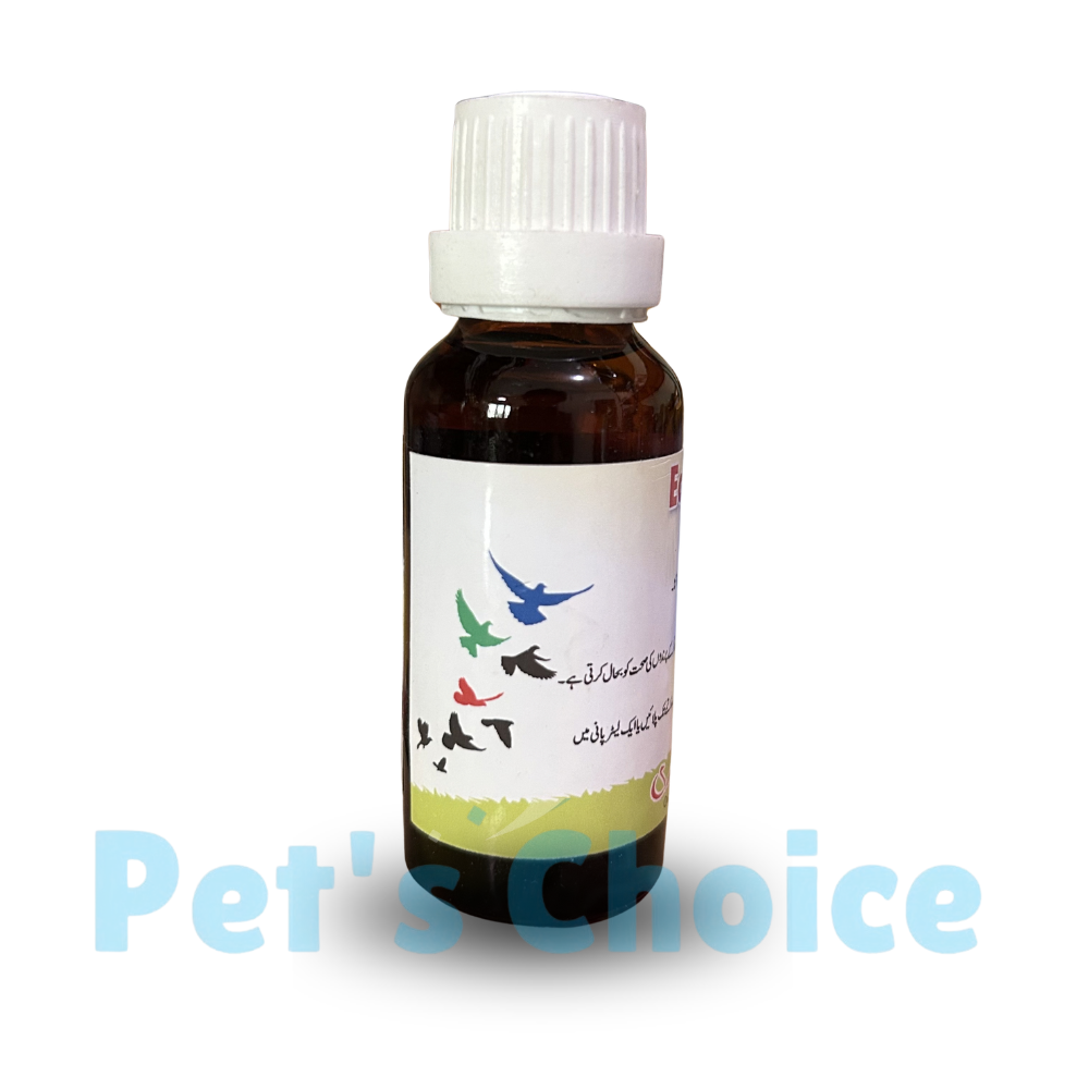 Eco Bact (بیکٹیریل انفیکشن کے لیے)