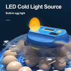 Fully Automatic 52 Poultry &amp; 252 Bird Eggs Incubator Hatcher