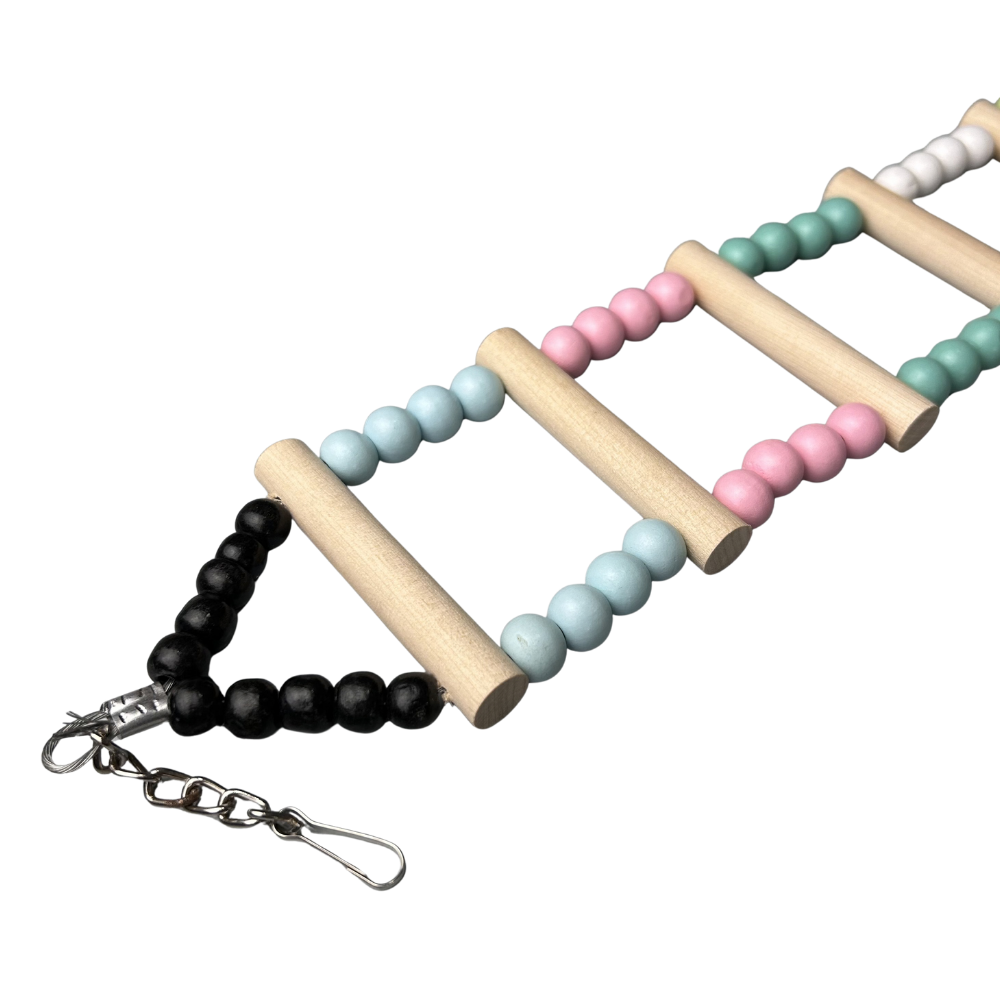 Ladder Toys
