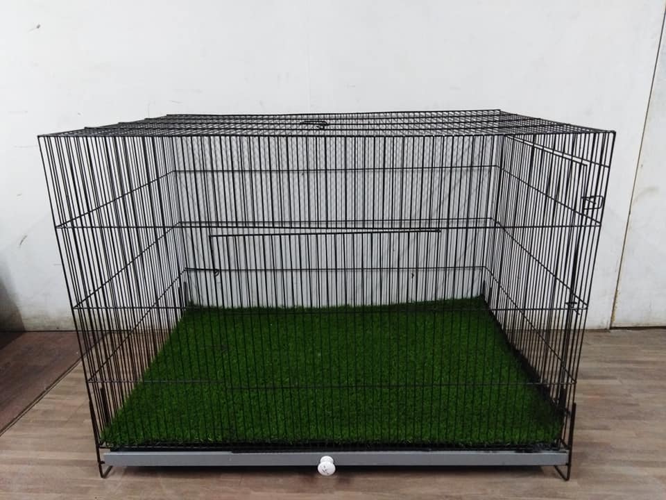customize Iron Cage