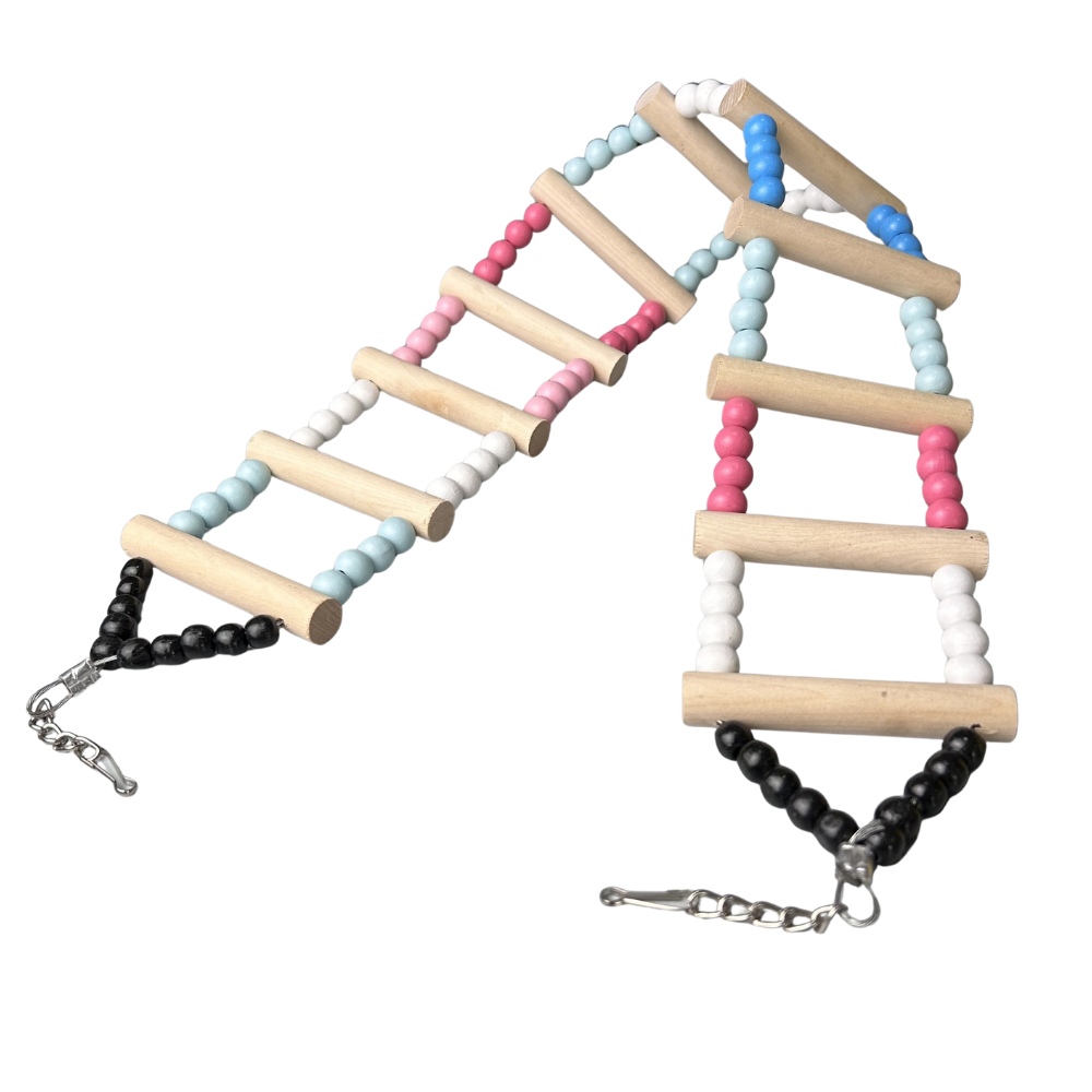 Ladder Toys