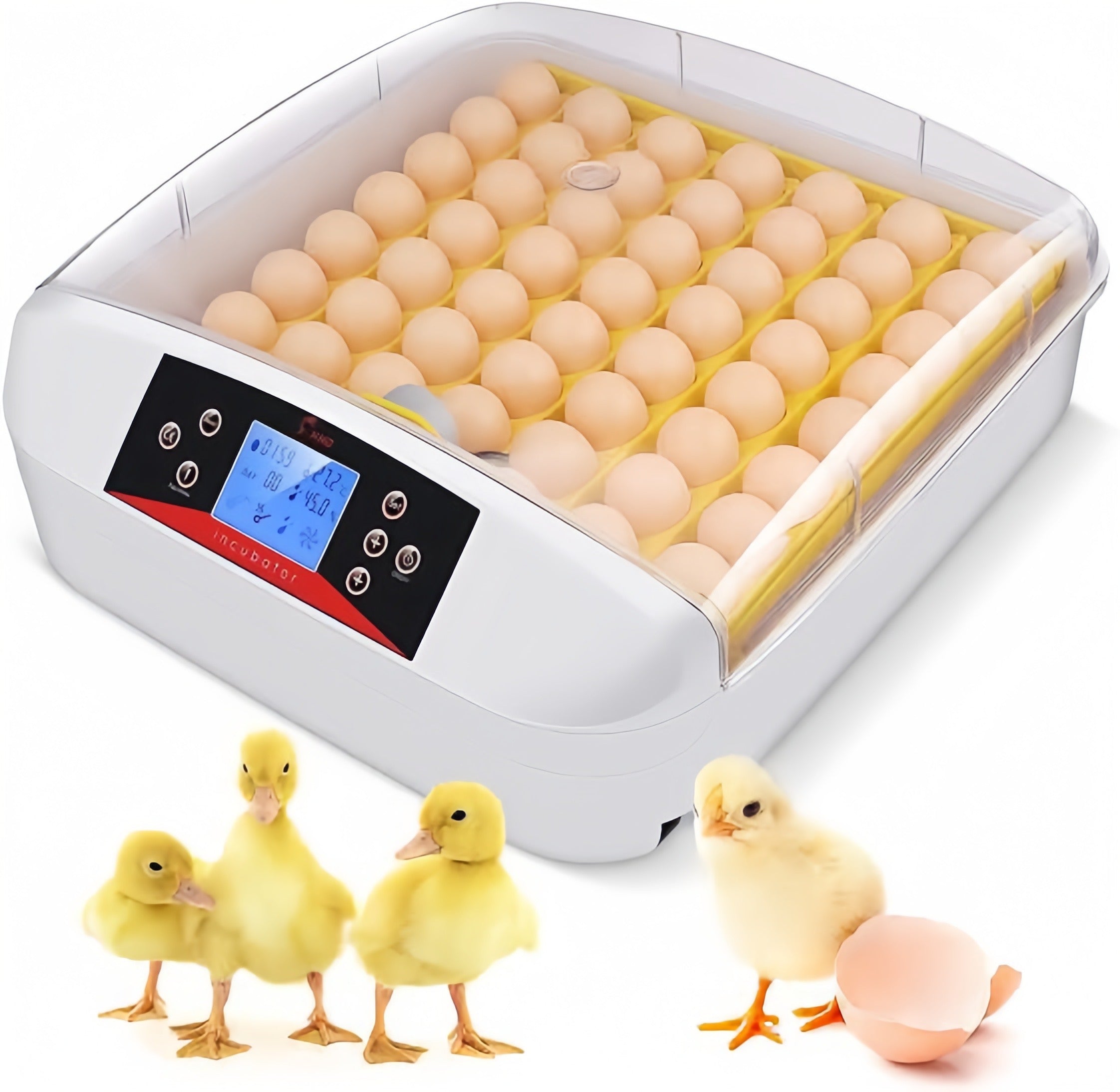 56 S Poultry Eggs Incubator Top Quality (fully Automatic)