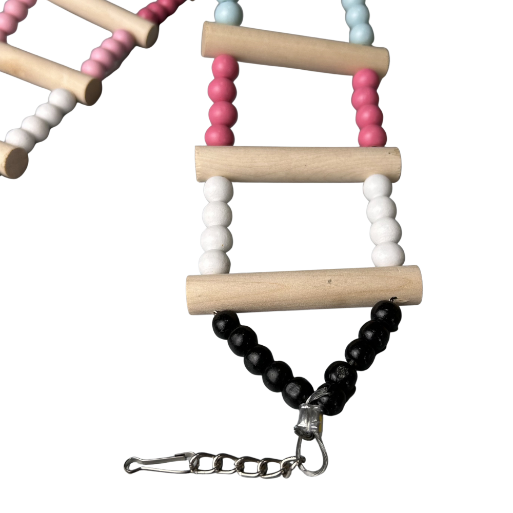 Ladder Toys