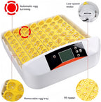 56 S Poultry Eggs Incubator Top Quality (fully Automatic)