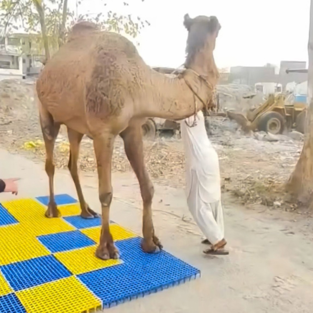 Elephant Plastic Floor Panel