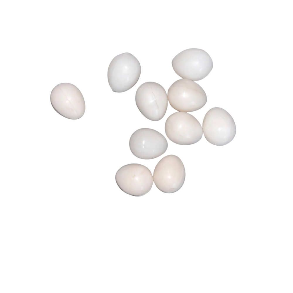 Birds Dummy Eggs