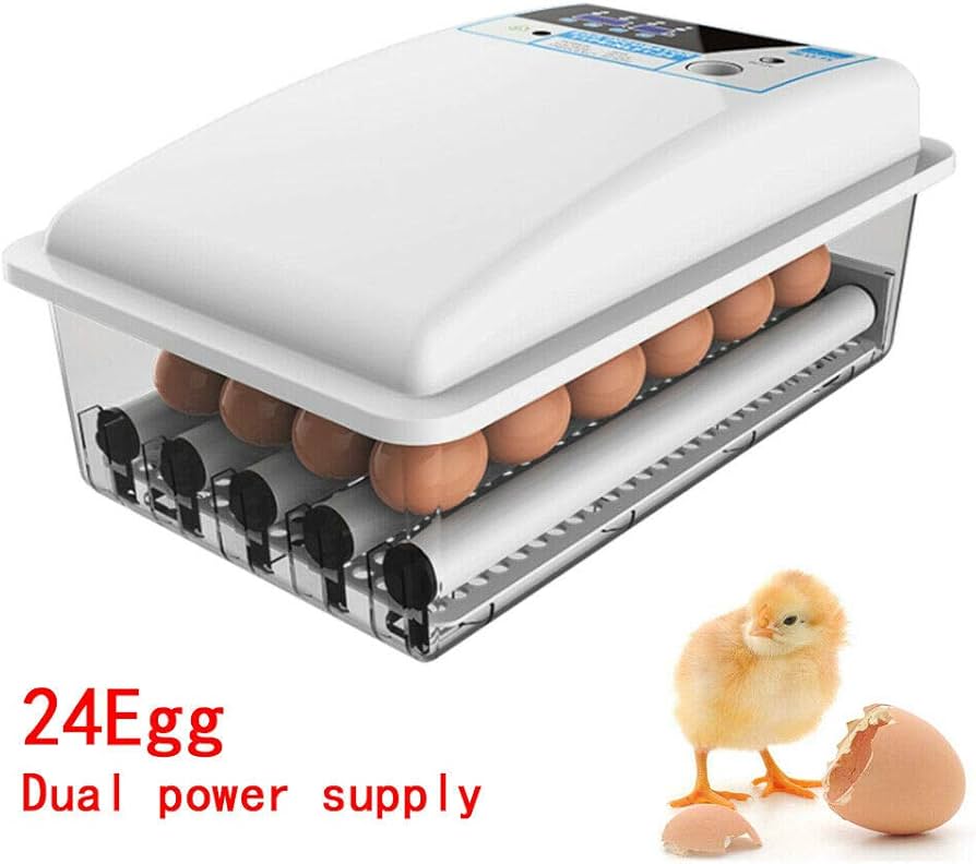 24 eggs Fully Automatic Incubator AC/DC