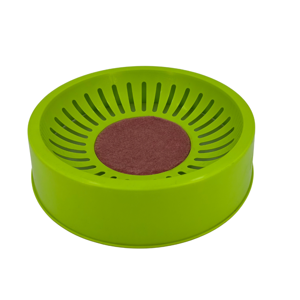 Large Nest Bowl 10.5 inches