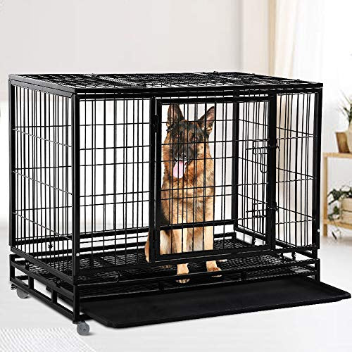 Customised Iron Cages with Accessories &amp; Toys for Birds, Livestock &amp; Pets