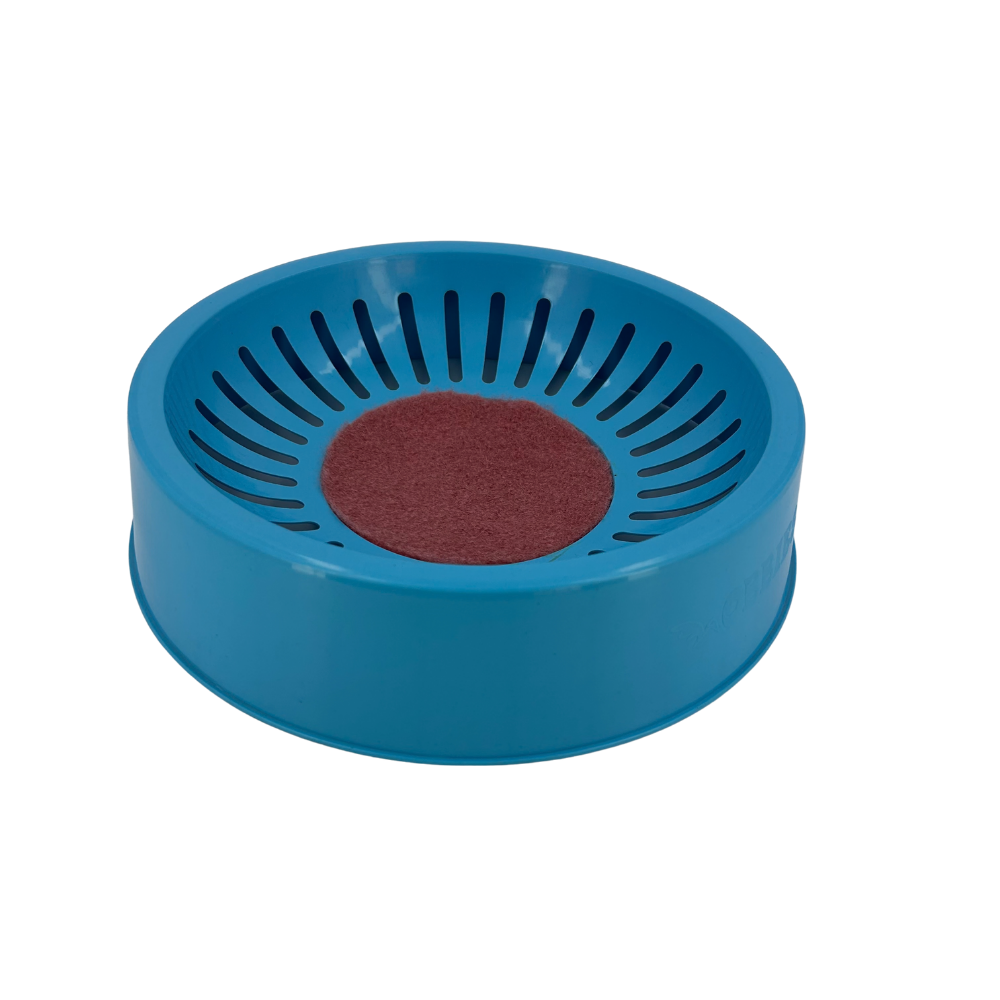 Large Nest Bowl 10.5 inches