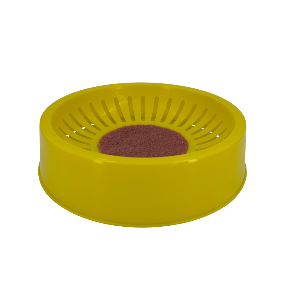 Large Nest Bowl 10.5 inches