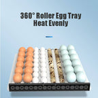 Imported 64/130/192 Eggs Incubator Fully Automatic AC/DC