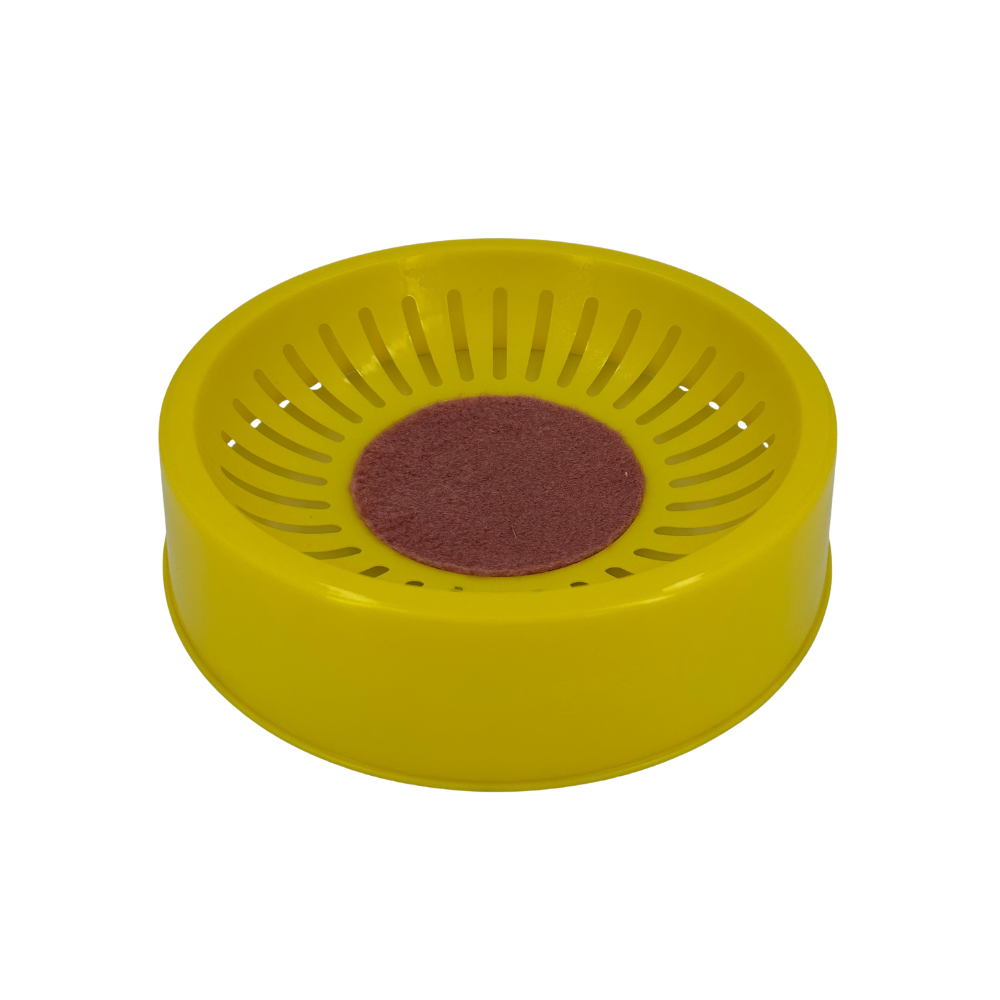 Large Nest Bowl 10.5 inches