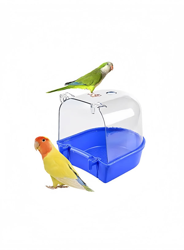 Birds Bath Tub