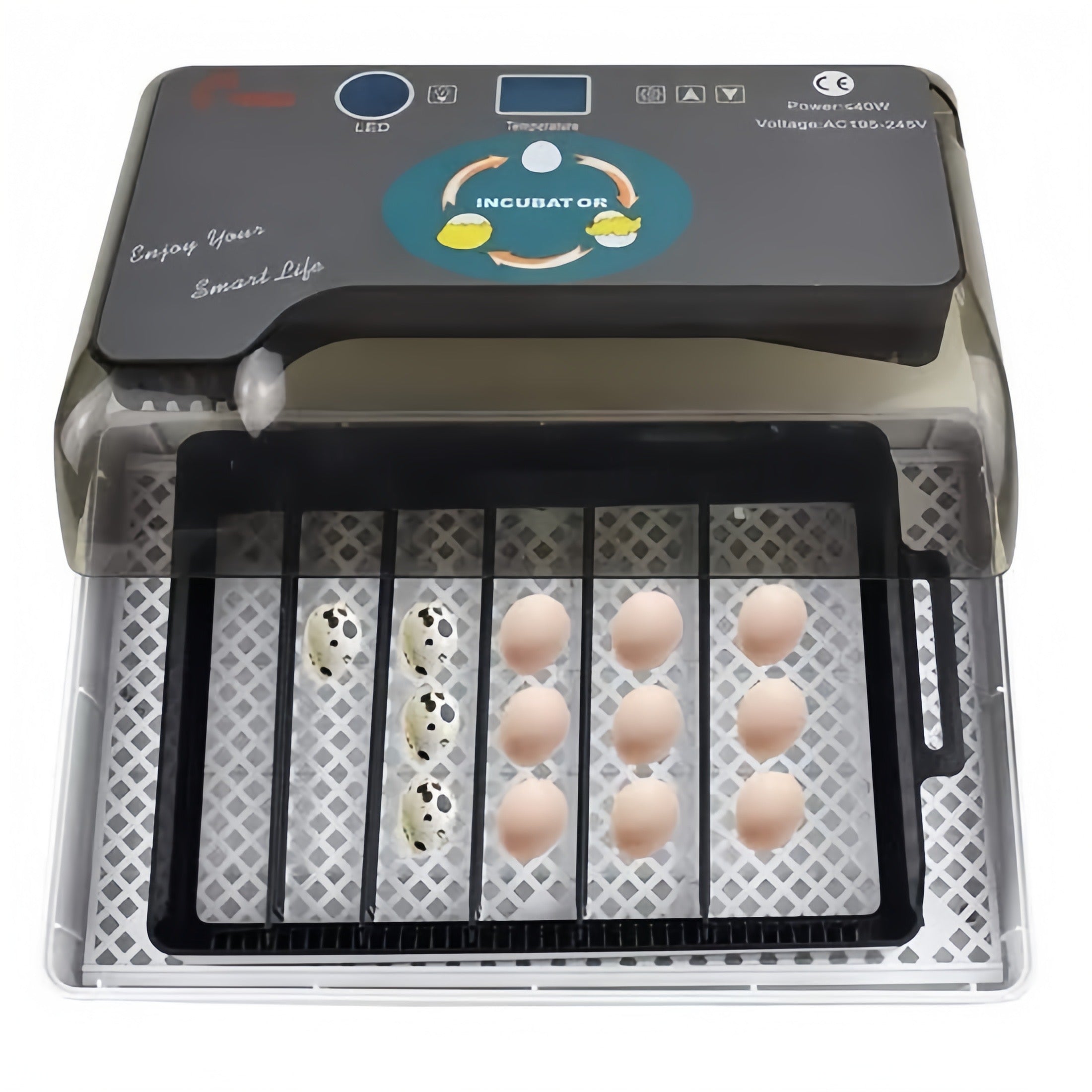 35 Small Birds/12 poultry Eggs HHD Incubator AC/DC (fully Automatic)