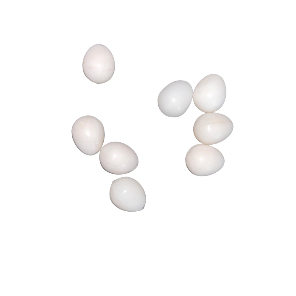 Birds Dummy Eggs