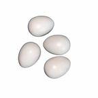 Birds Dummy Eggs