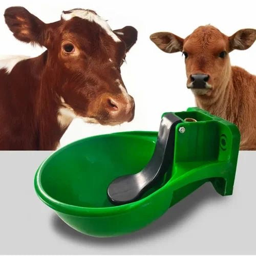 Cow Auto Drinker