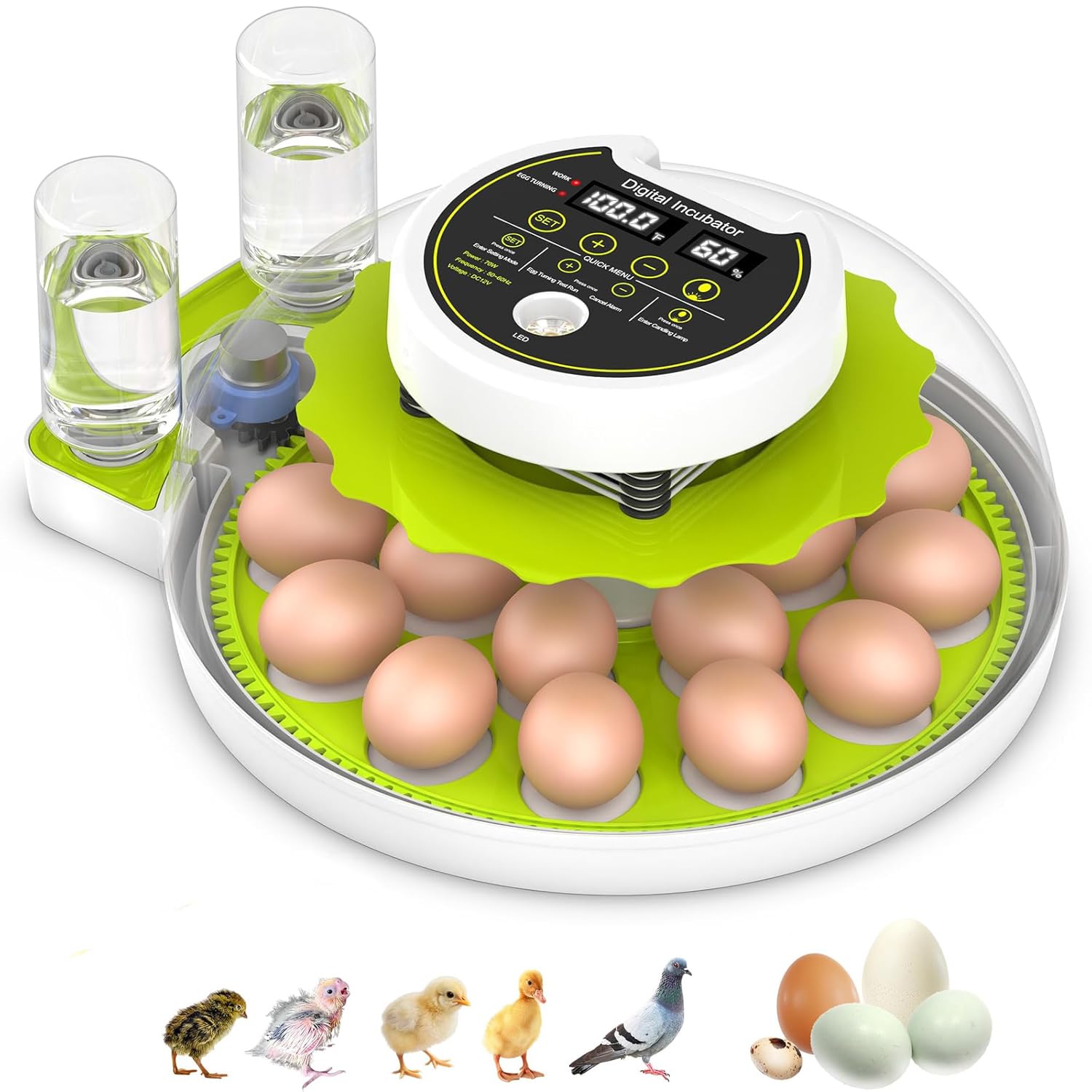 18 Poultry 60 Parrots Eggs Incubator AC/DC (fully automatic)