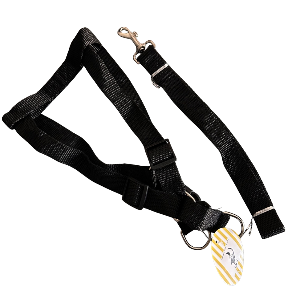Chest Harness