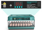 Fully Automatic Poultry Egg Incubator – 48 &amp; 70 Eggs Capacity