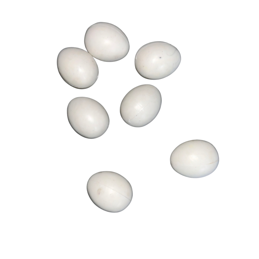 Birds Dummy Eggs