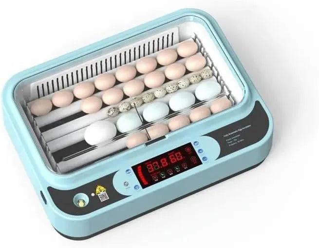 Fully Automatic Poultry Egg Incubator – 36 &amp; 64 Eggs Capacity