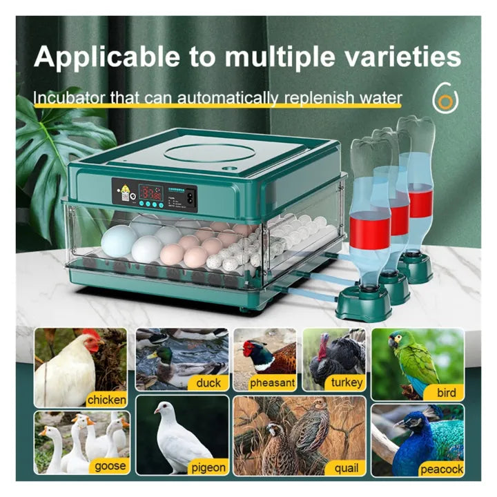 Fully Automatic Poultry Egg Incubator – 48 &amp; 70 Eggs Capacity