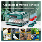 Fully Automatic Poultry Egg Incubator – 48 &amp; 70 Eggs Capacity