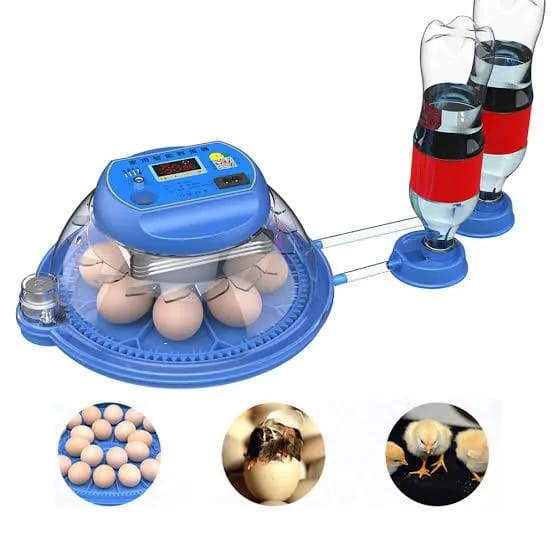 8 Poultry eggs 18 Small Birds eggs Incubator AC/DC (fully automatic)