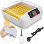 56 S Poultry Eggs Incubator Top Quality (fully Automatic)